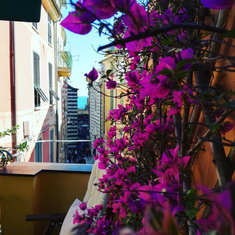 Bed and Breakfast L'Antica Terrazza Monterosso al Mare Exterior foto